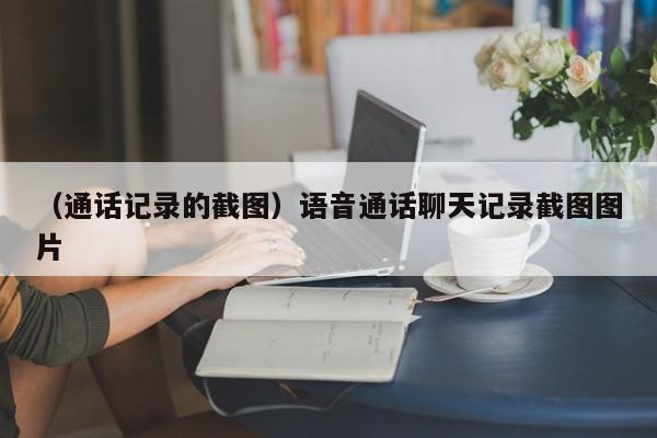 （通话记录的截图）语音通话聊天记录截图图片