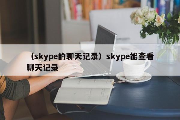 （skype的聊天记录）skype能查看聊天记录