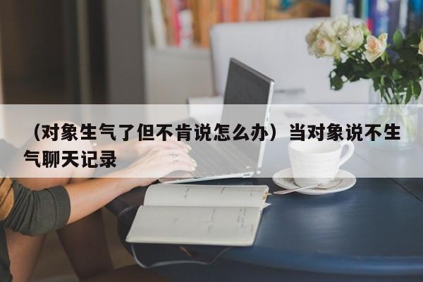 （对象生气了但不肯说怎么办）当对象说不生气聊天记录