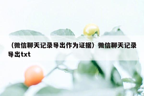 （微信聊天记录导出作为证据）微信聊天记录导出txt