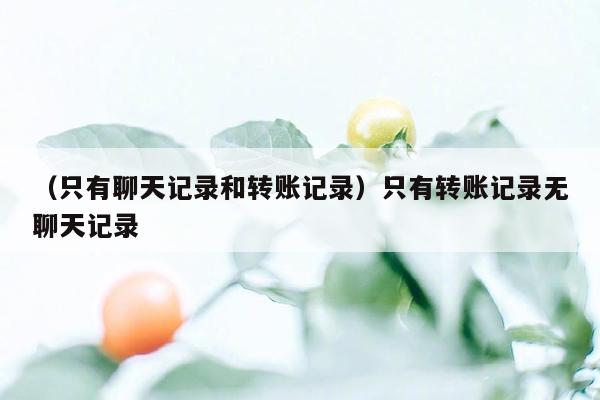 （只有聊天记录和转账记录）只有转账记录无聊天记录