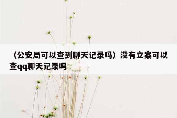 （公安局可以查到聊天记录吗）没有立案可以查qq聊天记录吗