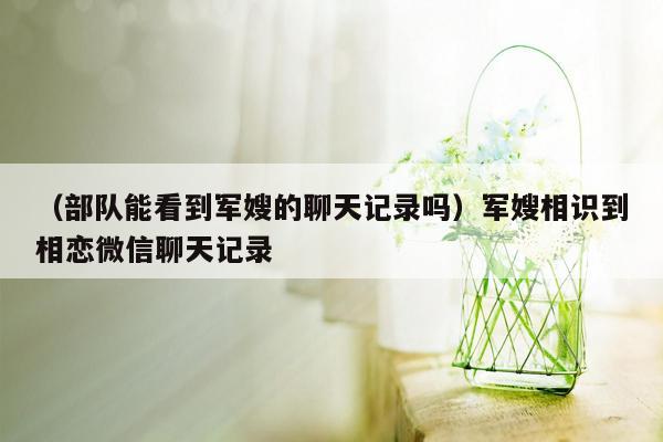 （部队能看到军嫂的聊天记录吗）军嫂相识到相恋微信聊天记录