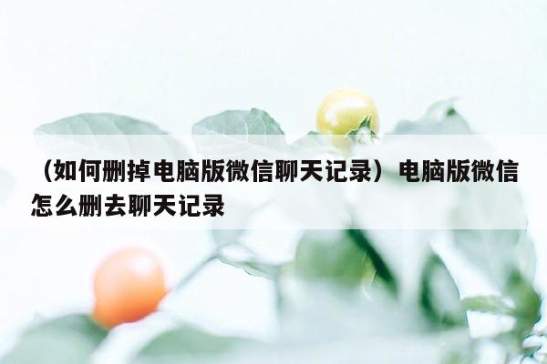 （如何删掉电脑版微信聊天记录）电脑版微信怎么删去聊天记录