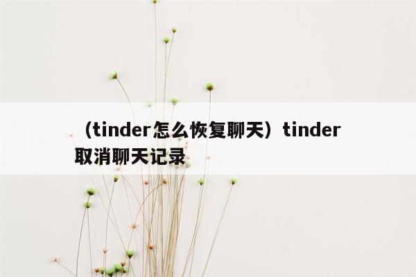 （tinder怎么恢复聊天）tinder取消聊天记录