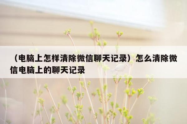 （电脑上怎样清除微信聊天记录）怎么清除微信电脑上的聊天记录