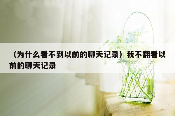 （为什么看不到以前的聊天记录）我不翻看以前的聊天记录