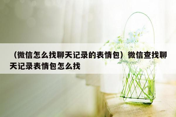 （微信怎么找聊天记录的表情包）微信查找聊天记录表情包怎么找