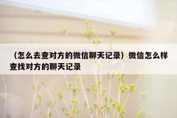 （怎么去查对方的微信聊天记录）微信怎么样查找对方的聊天记录