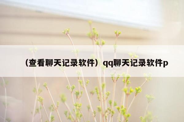 （查看聊天记录软件）qq聊天记录软件p