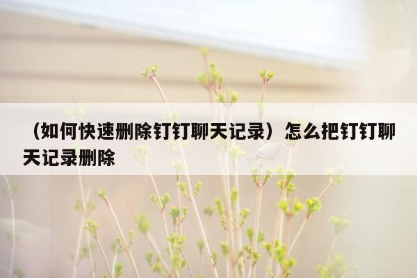 （如何快速删除钉钉聊天记录）怎么把钉钉聊天记录删除