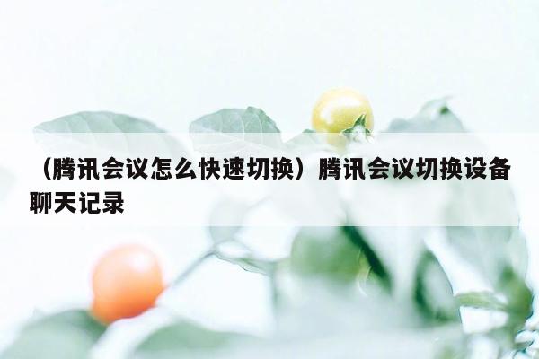 （腾讯会议怎么快速切换）腾讯会议切换设备聊天记录