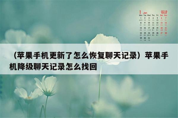 （苹果手机更新了怎么恢复聊天记录）苹果手机降级聊天记录怎么找回