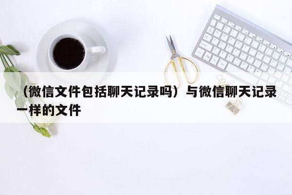 （微信文件包括聊天记录吗）与微信聊天记录一样的文件