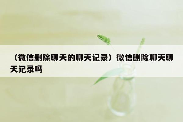 （微信删除聊天的聊天记录）微信删除聊天聊天记录吗