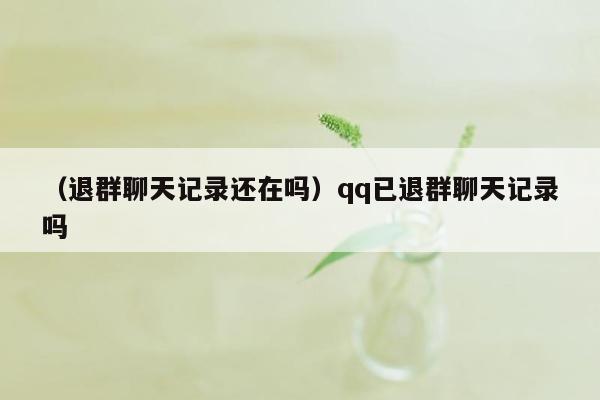 （退群聊天记录还在吗）qq已退群聊天记录吗