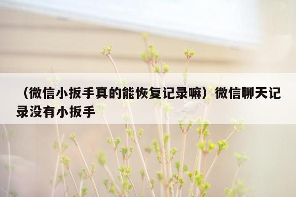 （微信小扳手真的能恢复记录嘛）微信聊天记录没有小扳手