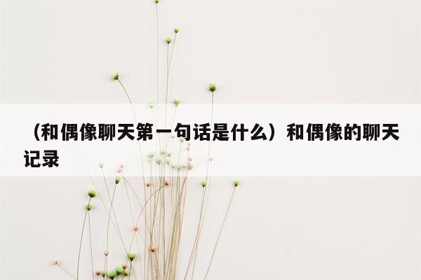 （和偶像聊天第一句话是什么）和偶像的聊天记录