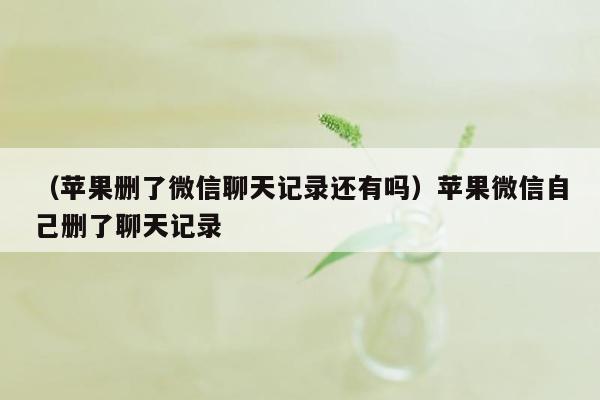 （苹果删了微信聊天记录还有吗）苹果微信自己删了聊天记录