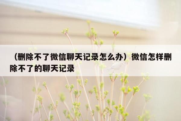 （删除不了微信聊天记录怎么办）微信怎样删除不了的聊天记录