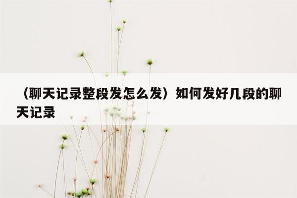 （聊天记录整段发怎么发）如何发好几段的聊天记录