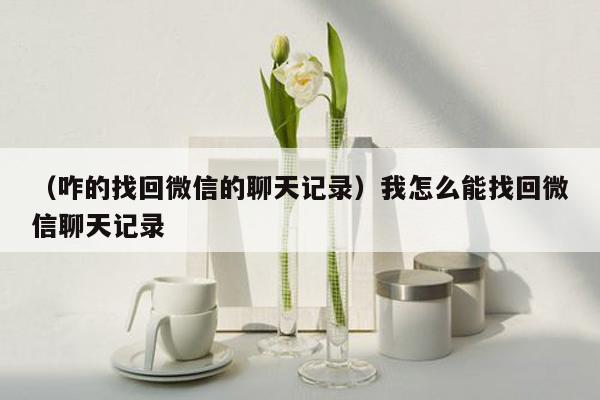 （咋的找回微信的聊天记录）我怎么能找回微信聊天记录