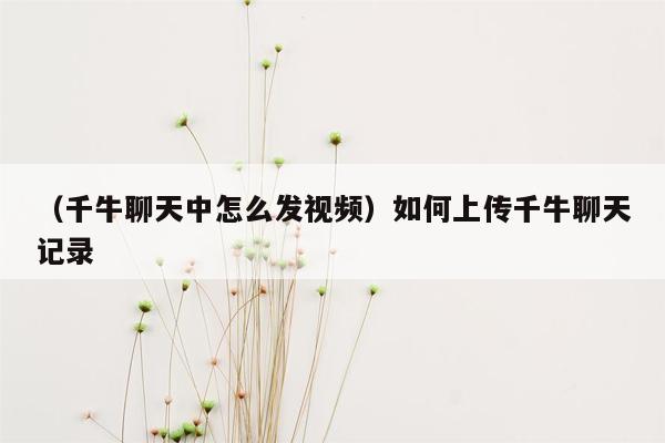 （千牛聊天中怎么发视频）如何上传千牛聊天记录