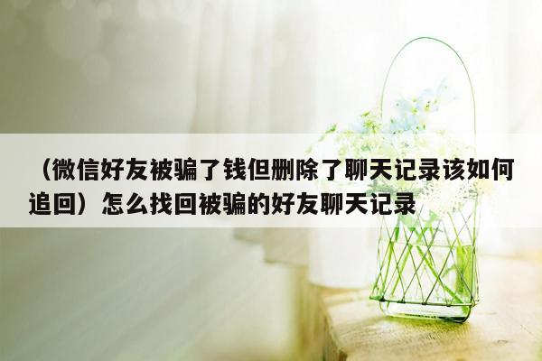 （微信好友被骗了钱但删除了聊天记录该如何追回）怎么找回被骗的好友聊天记录