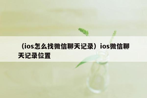 （ios怎么找微信聊天记录）ios微信聊天记录位置