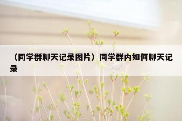 （同学群聊天记录图片）同学群内如何聊天记录