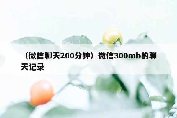 （微信聊天200分钟）微信300mb的聊天记录