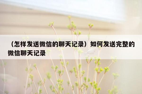 （怎样发送微信的聊天记录）如何发送完整的微信聊天记录