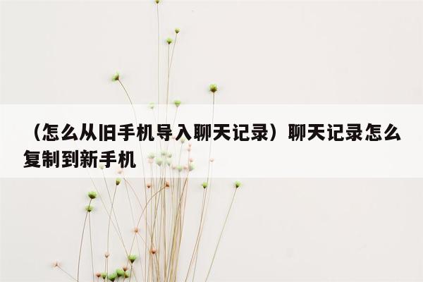 （怎么从旧手机导入聊天记录）聊天记录怎么复制到新手机