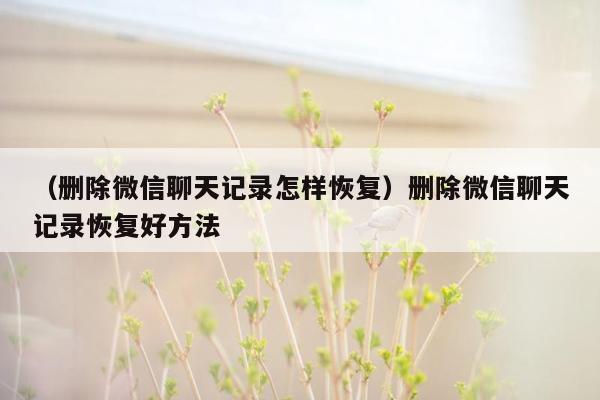 （删除微信聊天记录怎样恢复）删除微信聊天记录恢复好方法