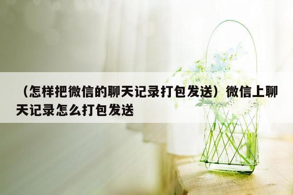 （怎样把微信的聊天记录打包发送）微信上聊天记录怎么打包发送