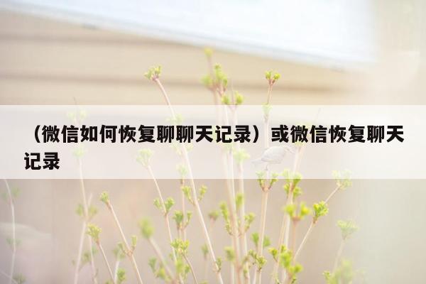 （微信如何恢复聊聊天记录）或微信恢复聊天记录