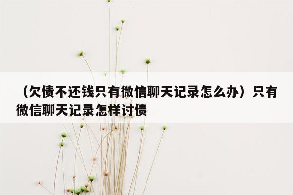 （欠债不还钱只有微信聊天记录怎么办）只有微信聊天记录怎样讨债