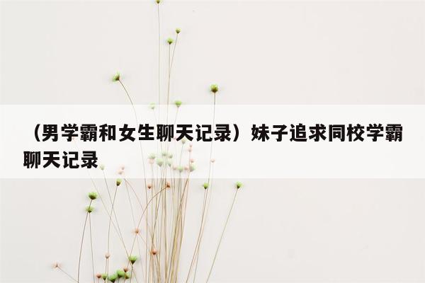 （男学霸和女生聊天记录）妹子追求同校学霸聊天记录