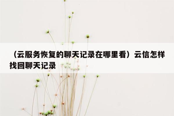 （云服务恢复的聊天记录在哪里看）云信怎样找回聊天记录