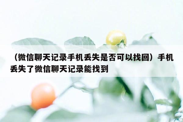 （微信聊天记录手机丢失是否可以找回）手机丢失了微信聊天记录能找到