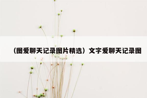 （图爱聊天记录图片精选）文字爱聊天记录图