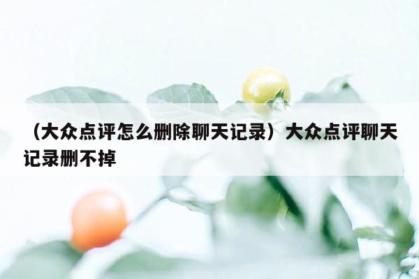 （大众点评怎么删除聊天记录）大众点评聊天记录删不掉