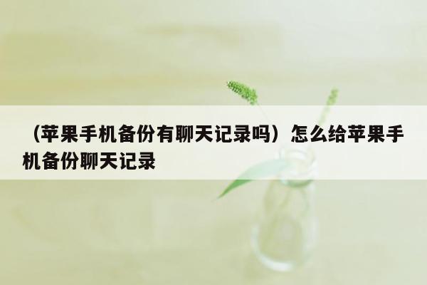 （苹果手机备份有聊天记录吗）怎么给苹果手机备份聊天记录