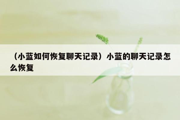 （小蓝如何恢复聊天记录）小蓝的聊天记录怎么恢复