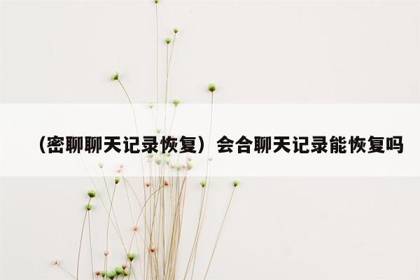 （密聊聊天记录恢复）会合聊天记录能恢复吗