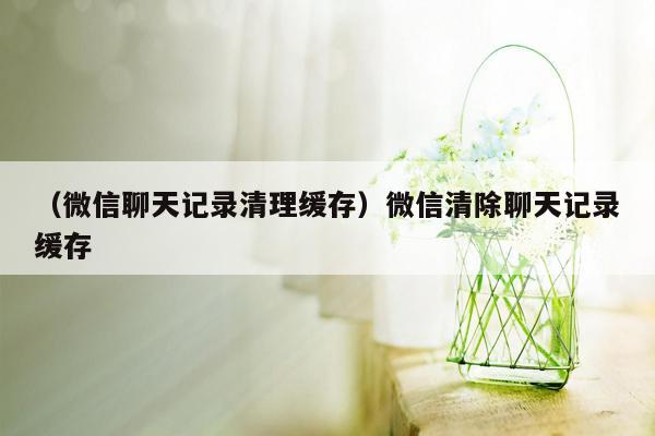 （微信聊天记录清理缓存）微信清除聊天记录缓存