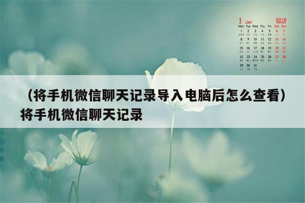 （将手机微信聊天记录导入电脑后怎么查看）将手机微信聊天记录