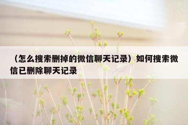 （怎么搜索删掉的微信聊天记录）如何搜索微信已删除聊天记录