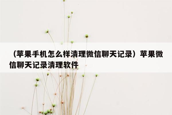 （苹果手机怎么样清理微信聊天记录）苹果微信聊天记录清理软件