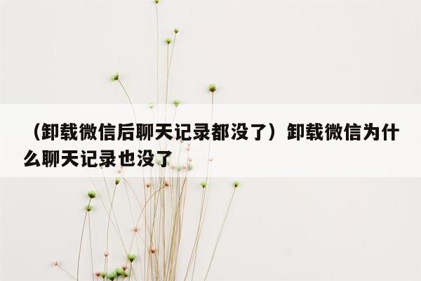 （卸载微信后聊天记录都没了）卸载微信为什么聊天记录也没了